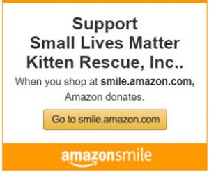 Support Small Lives Matter Kitten Rescue through smile.amazon.com